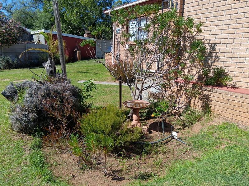 3 Bedroom Property for Sale in Albertinia Western Cape